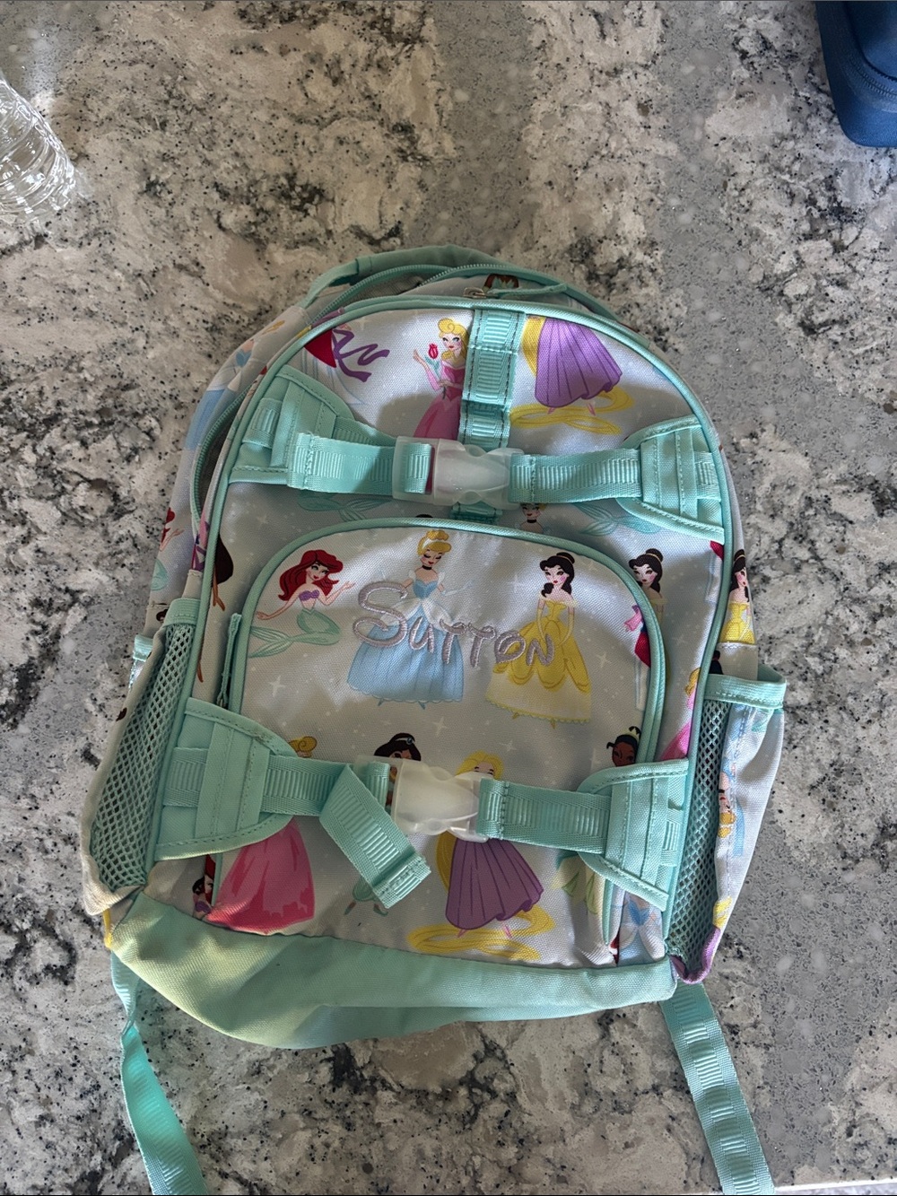 Pottery Barn Kids Mint Disney Princess Backpack- Sutton